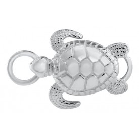 SB5454 SS SEA TURTLE CLASP