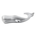 SB5705 SS WHALE CLASP