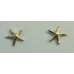 RAAT3728 Tiny Starfish Post Earrings