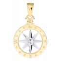 ENPT022 14K 2TONE COMPASSROSE NECK-14M