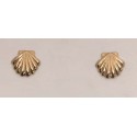 RAAT3438 Tiny Scallop Shell Earring