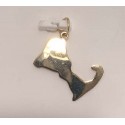 RA577C Soild Cape Cod Map Charm 