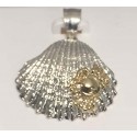 RARD1996CS Sterling Silver Diamond Cut Shell with 14KT Crab Pendant