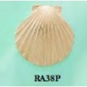 RA38P Large Scallop Shell Pendant 