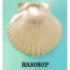 RA8080P Extra Large Scallop Shell Pendant 